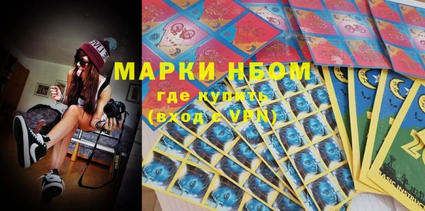 молекула духа Арсеньев