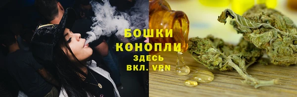 молекула духа Арсеньев