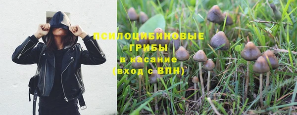 молекула духа Арсеньев