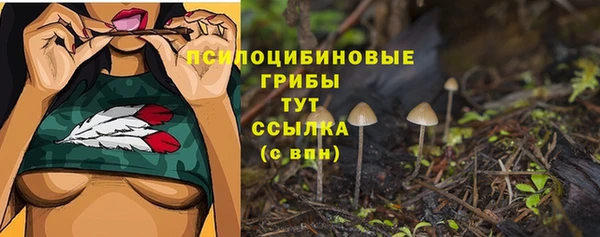 дмт Армянск