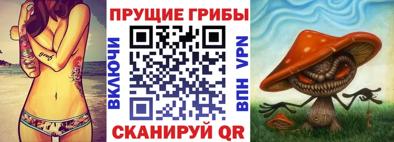 где купить наркоту  Тайга  это формула  Галлюциногенные грибы MAGIC MUSHROOMS 